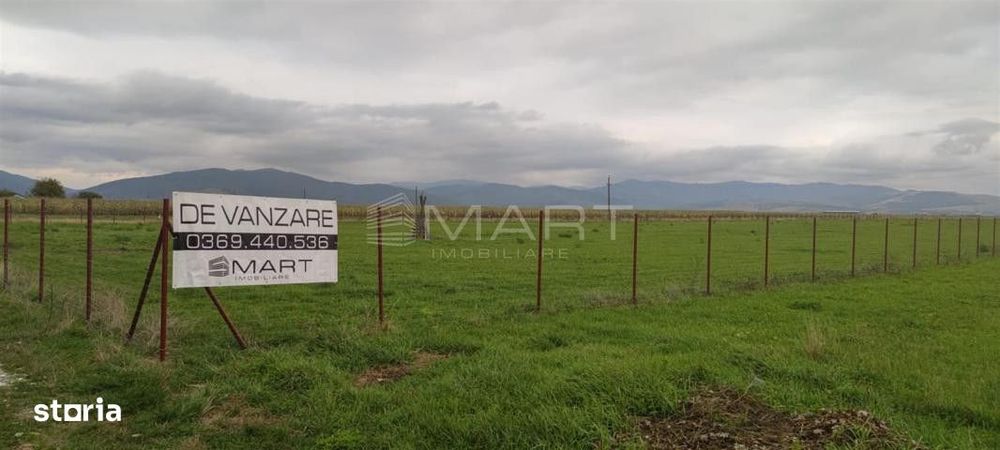 Teren  intravilan cu PUZ 30.000 mp Prejmer