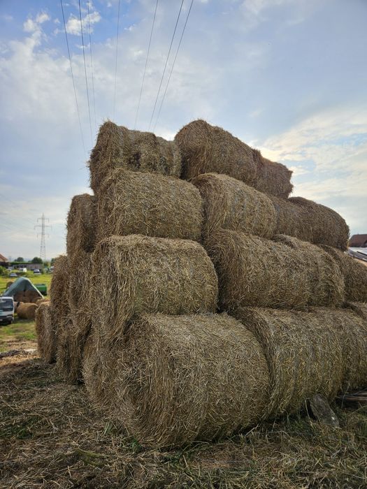 Baloti paie de grau