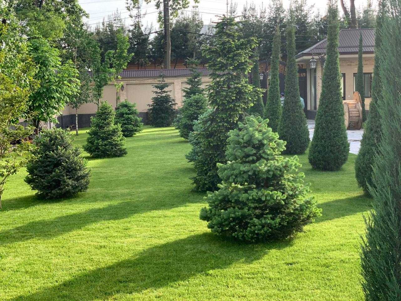 В аренду 26-ком особняк 1300 м² в Яккасарайском районе, ор-р Аския