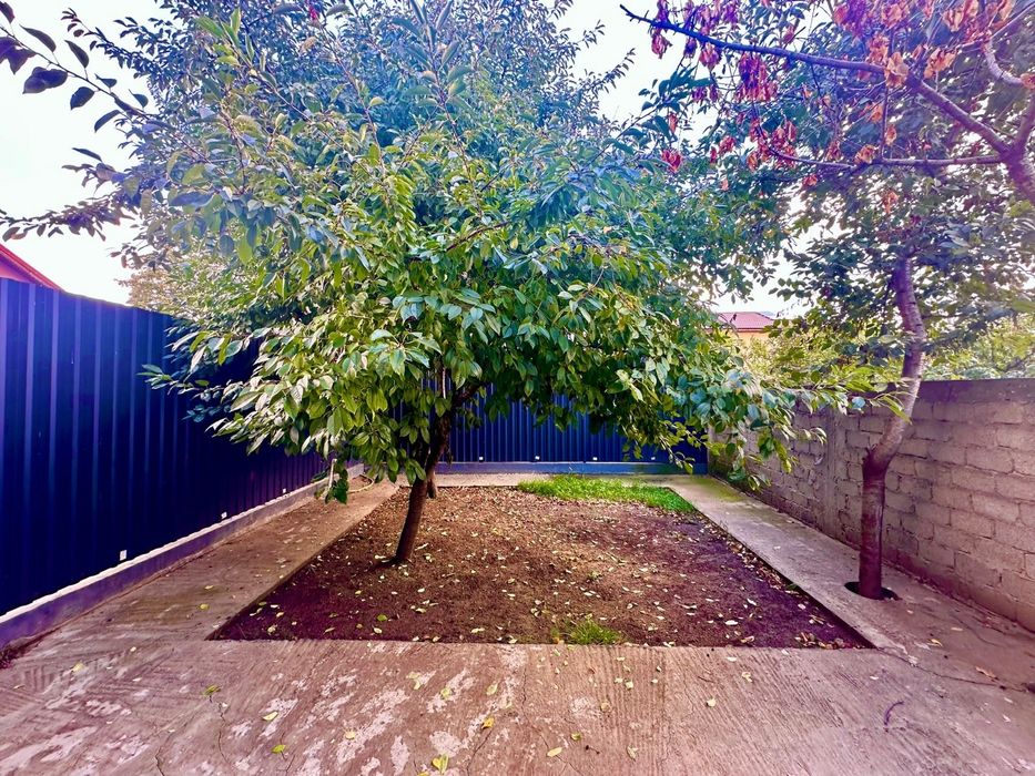 Casă de vânzare 3 camere baie bucătărie