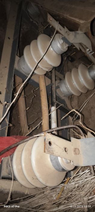 Rubilnik visoki  ajratib qushuvchi