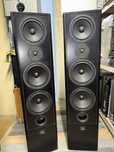 Canton Fonum 802 dc