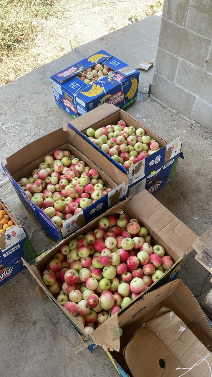 Продам вкусные абрикосы и яблоки со своего сада по приемлемой цене!