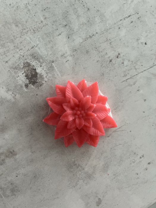 Сапунчета - коледна звезда