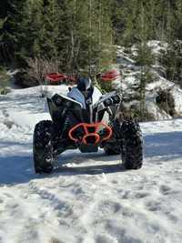 Can am renegade 1000R