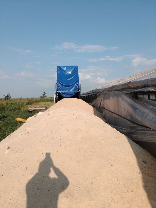 Vănd rumeguș de brad ,fag