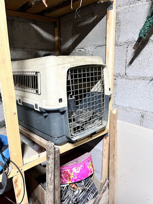 Переноска для собак и кошек