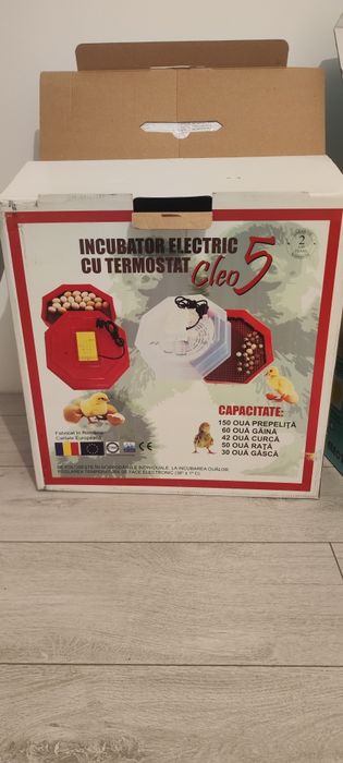 Incubator cleo5 și puisor