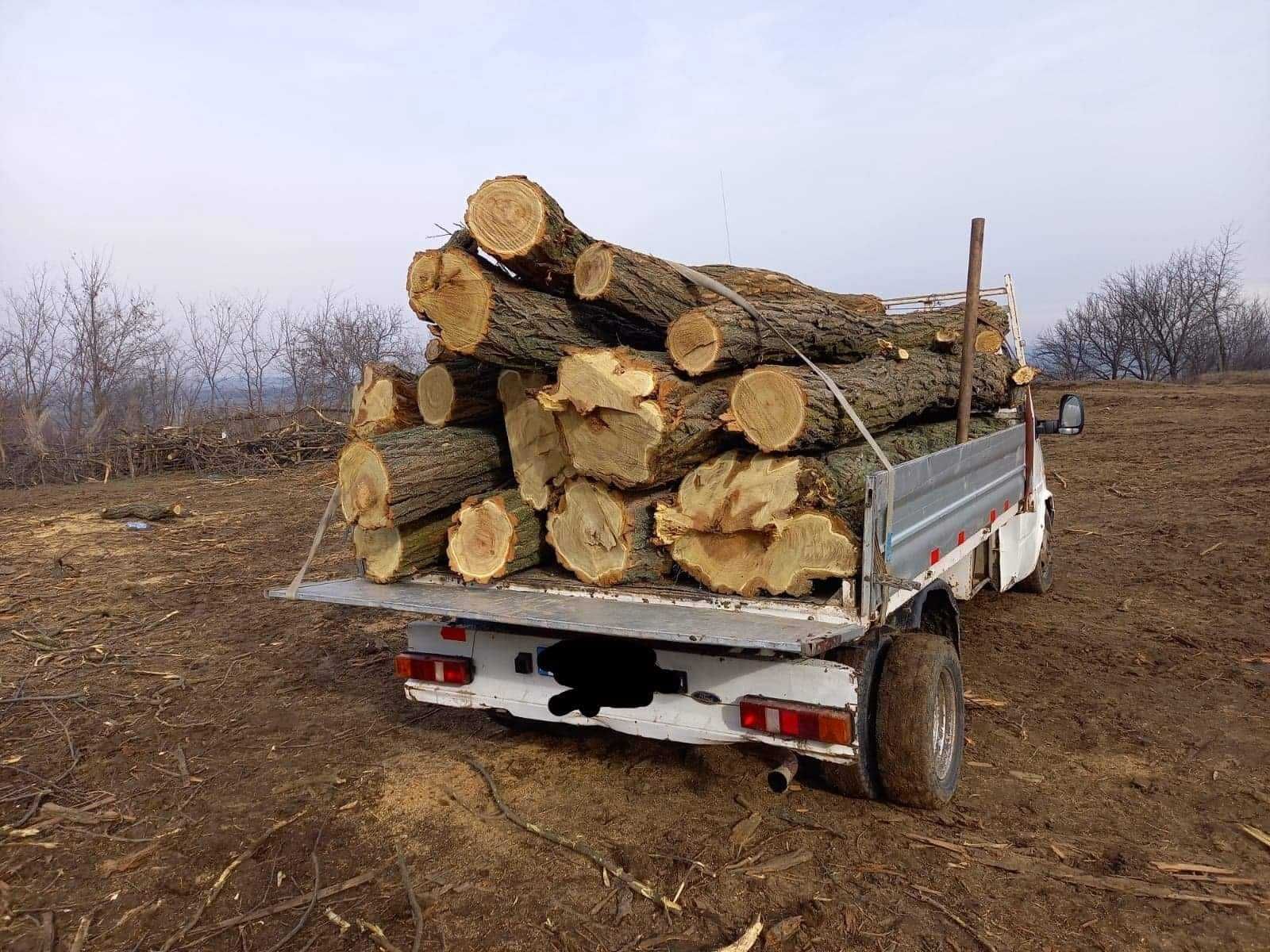Vând lemn de foc esență tare salcâm stejar