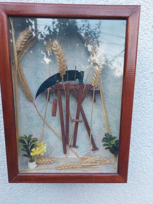 Accesoriu decorațiune display vintage colectie lemn sticla Franța 1950