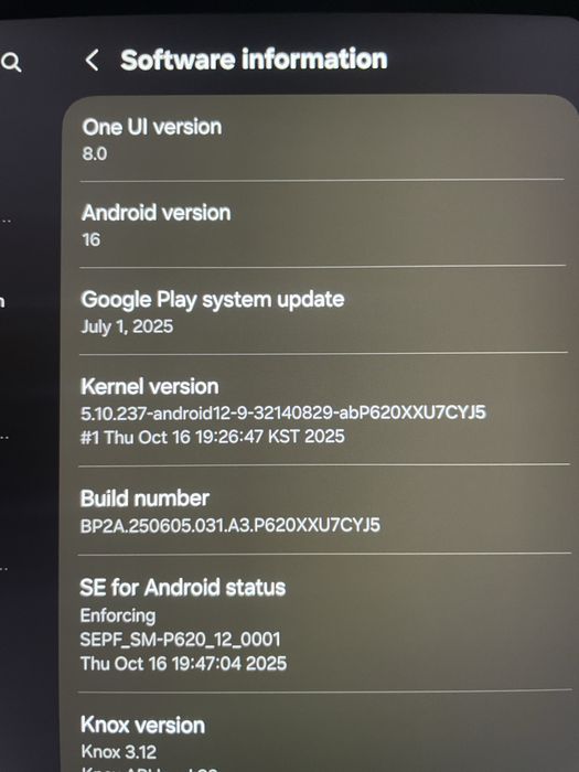 Tableta Samsung Galaxy Tab S6 Lite (2024), 64GB, S-Pen