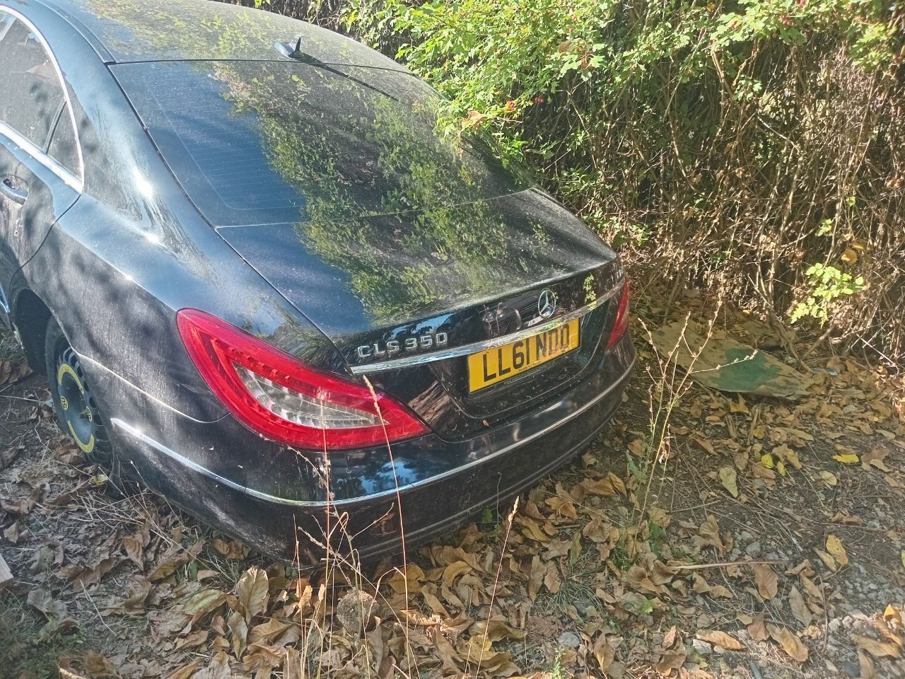 Mercedes cls 350cdi
