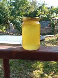 Продавам пчелен мед на едро - Липов