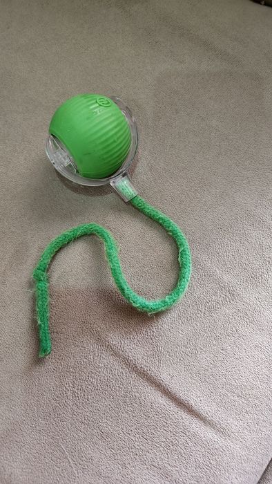 Когтеточка для котят