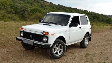 Нива аварийная документы.