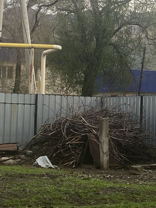 Продам ветки дрова