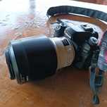 Canon EOS 80D - Мощен и многофункционален Wi-Fi DSLR.