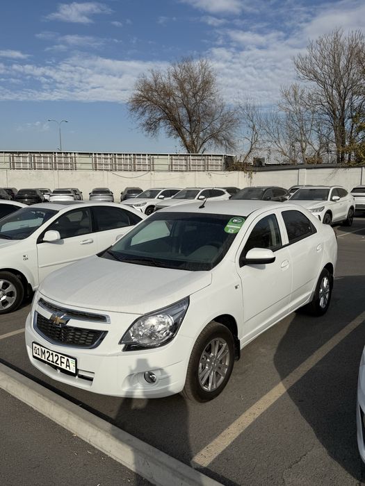 Cobalt 2025 masla nomer taqilgan tayor