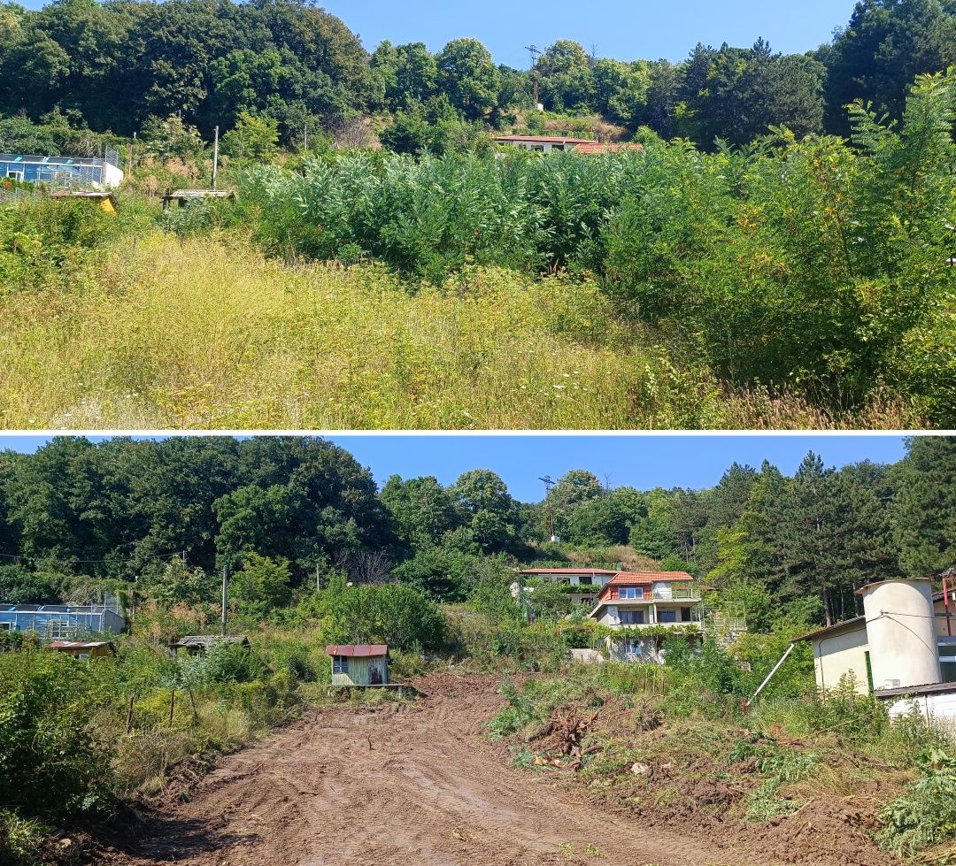 Облагородяване на терени за отдаване под наем или продажба