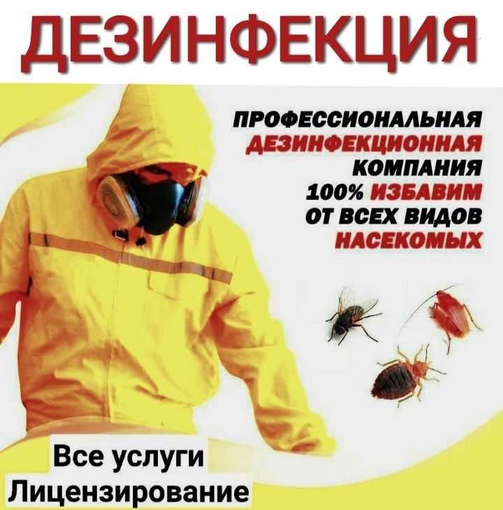 Дезинфекция 100% Гарантия качества.