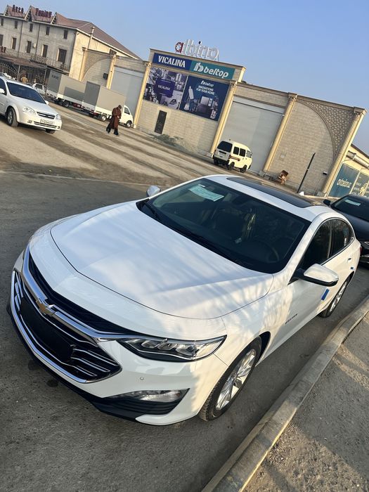 Malibu 2 Premier 2021 oq