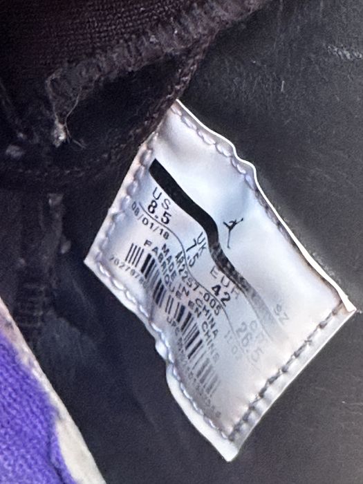 Jordan 6 Special Status