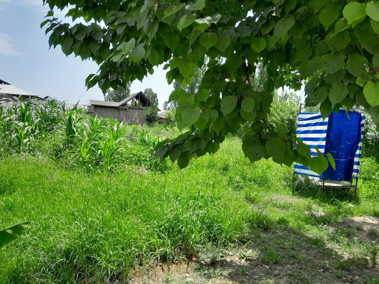 Уй сотилади (СРОЧНО)