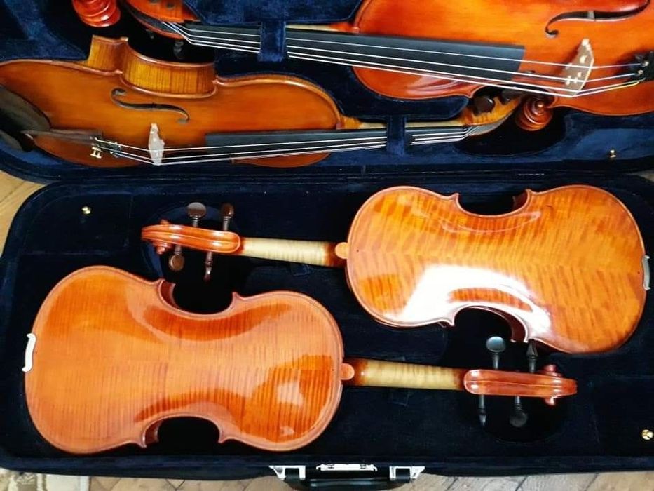 Viori de maestru