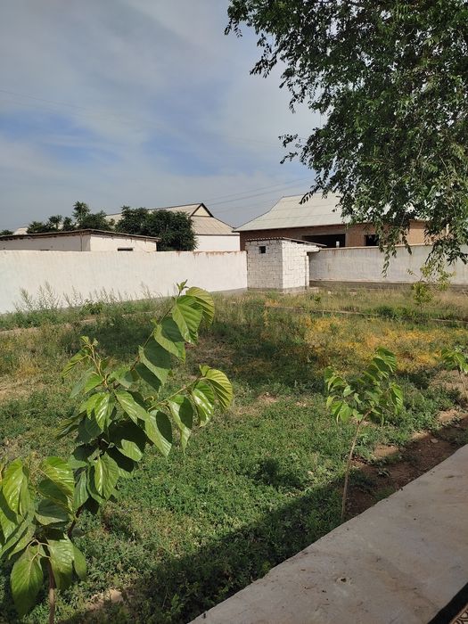 10sotix hovli kadastr hujjatlari joyida  sharoiti zor