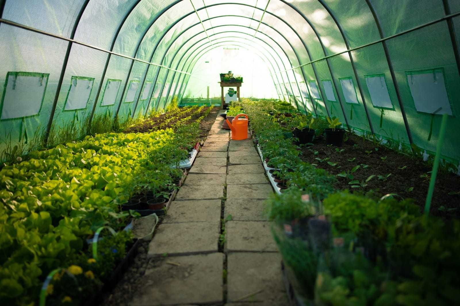 3x3 m - Solar profesionale de grădină, sera sere solarii legume - NOI!