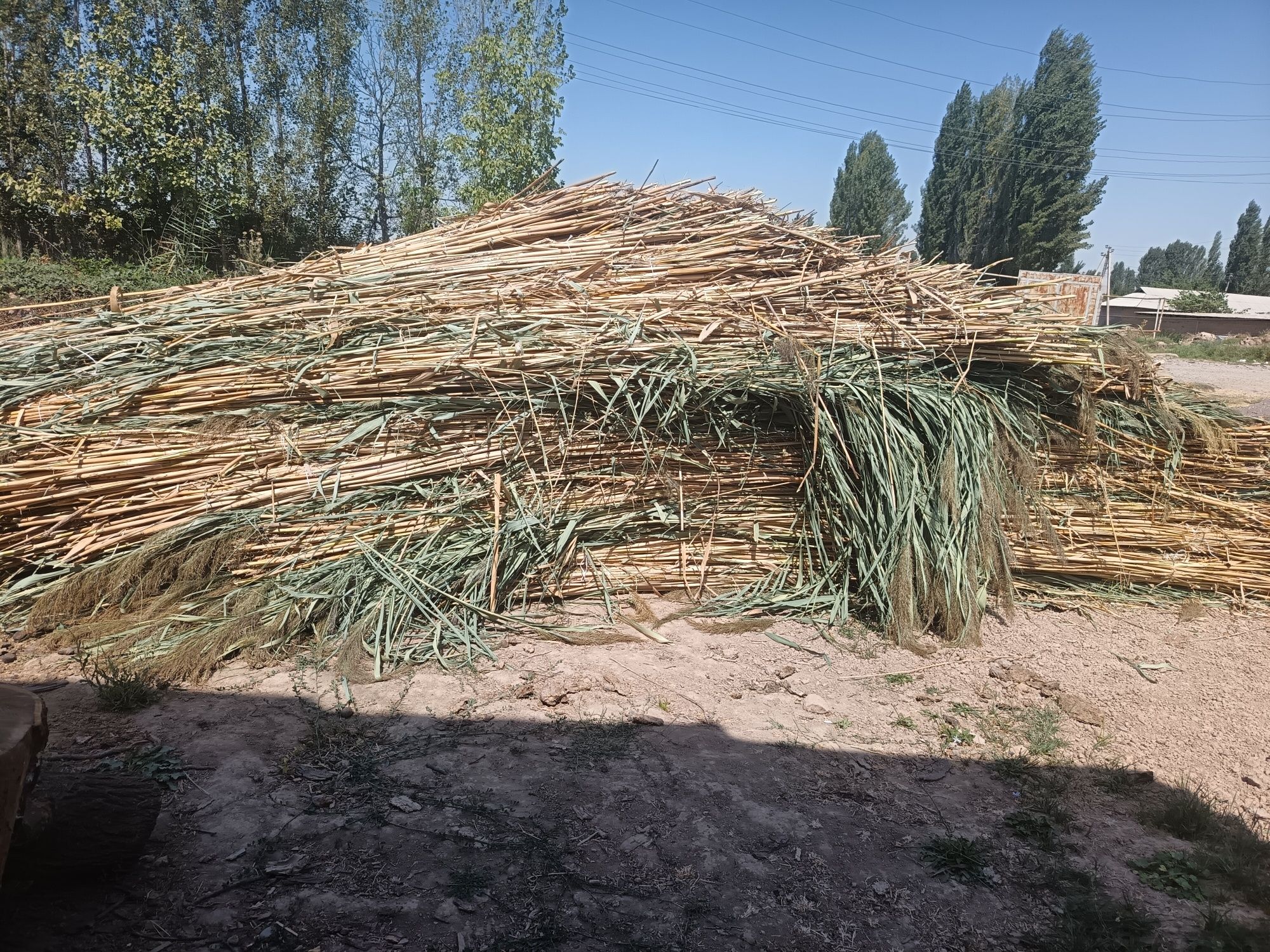 лобазга камич бор