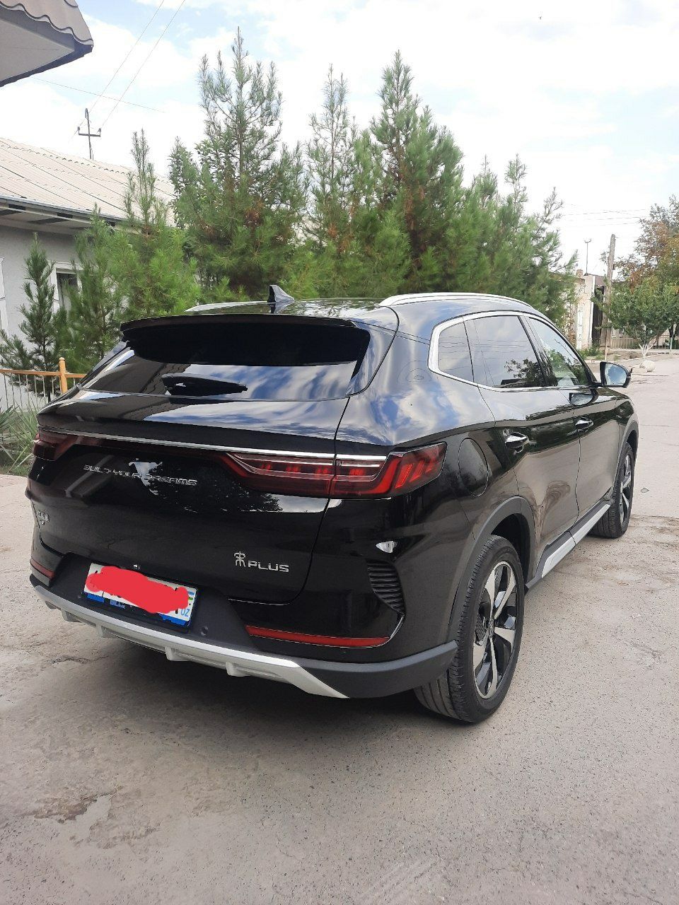 BYD Flagship бошига