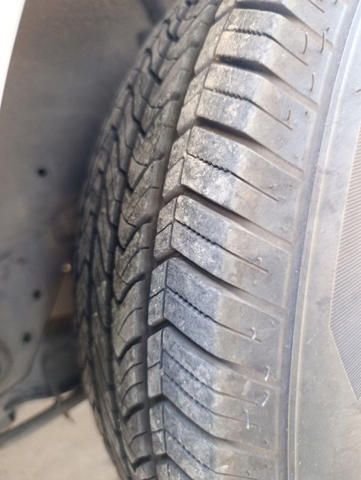 14 diska balon aybi yoq