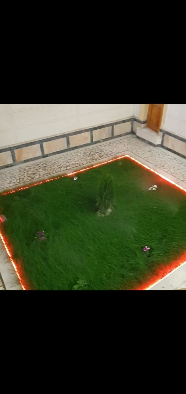 Yevropa Ispaniya oliy navli gazon urug'lari ekib ko'kartirib beriladi.