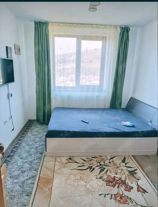 Apartament Cartier Tei