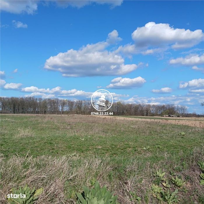 Teren intravilan intr-o zona superba de padure