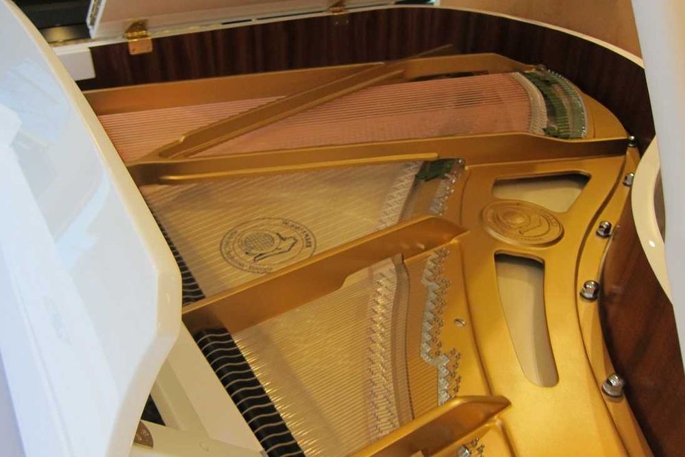 НОВ европейски роял W.HOFFMANN - T177 + C.Bechstein Connect