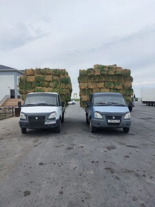 Жоңышқа, камыс пресс ,аралас , қамыс сабан бар*
Тез тез хабарласыңызд