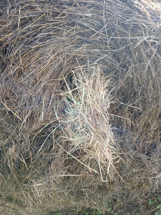 Vând Baloți Fânețe