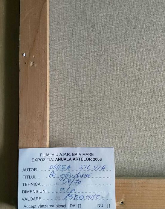 Pictura: Silvia Onisa – Baia Mare