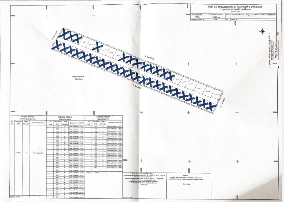 Loturi teren Narcise Tg-Jiu