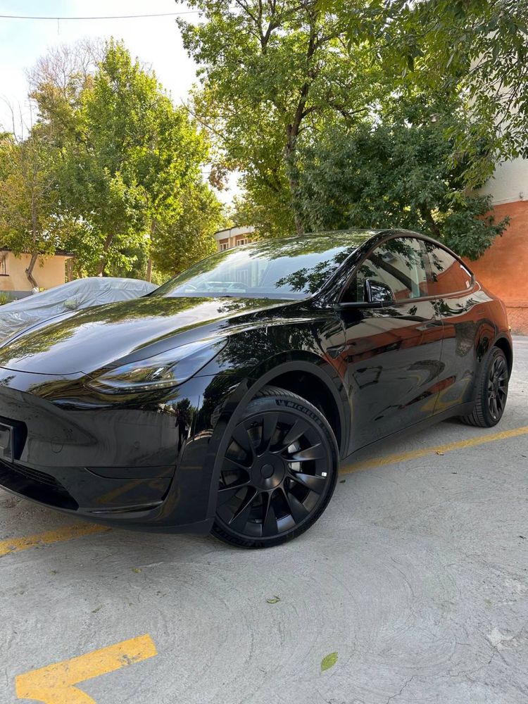 Tesla Model Y (новая)