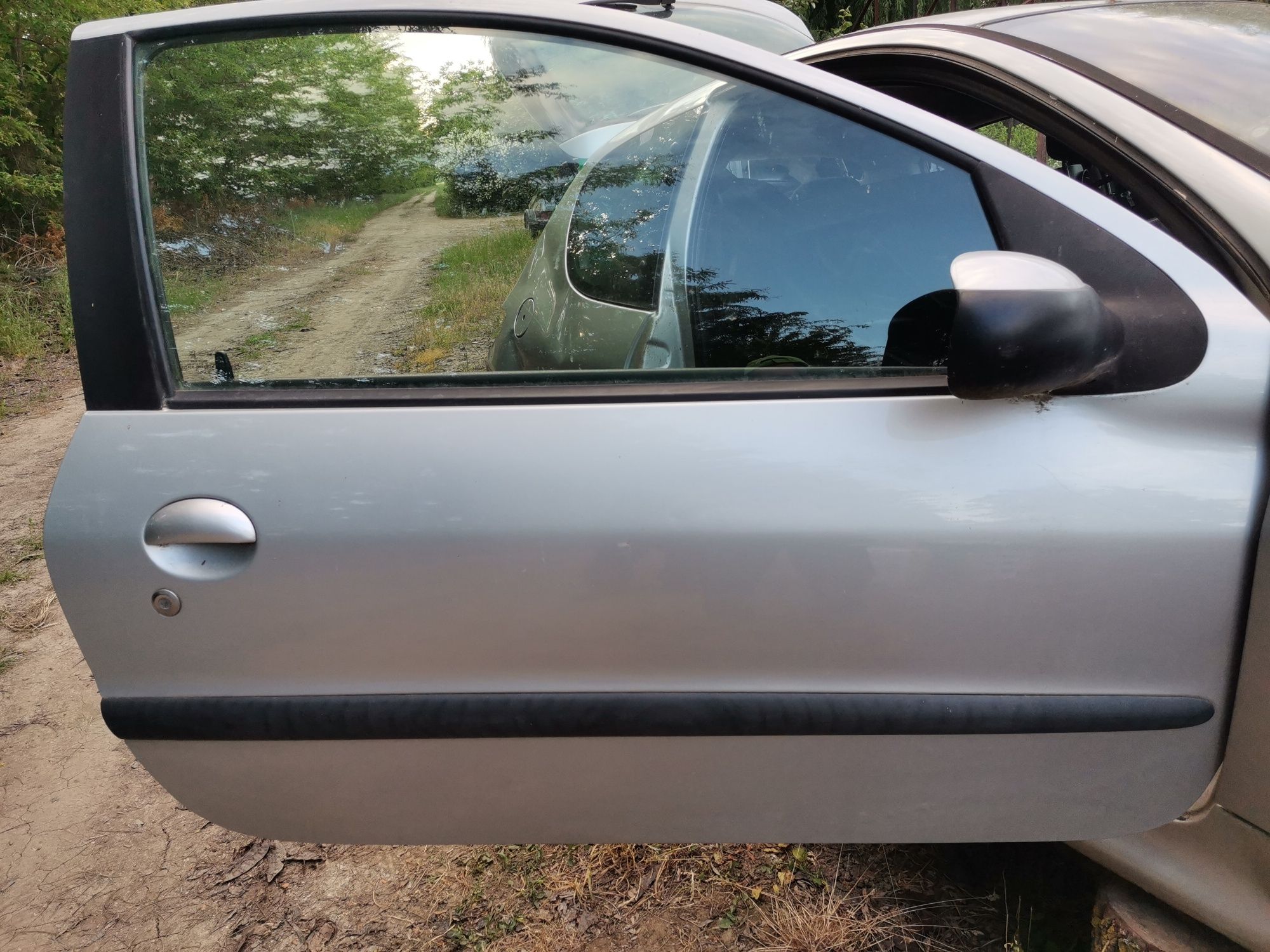 Uși stanga dreapta Peugeot 206 an2003 coupe + alternator, electromotor