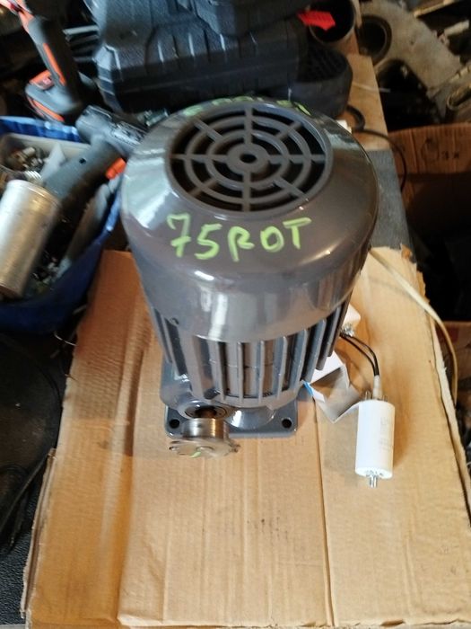 Motor electric cu reductor 75 rotații