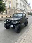 Vand JEEP WRANGELR YJ accept variante