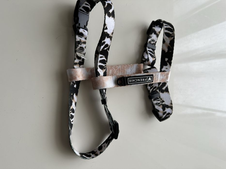 Ham si zgarda Frenchie