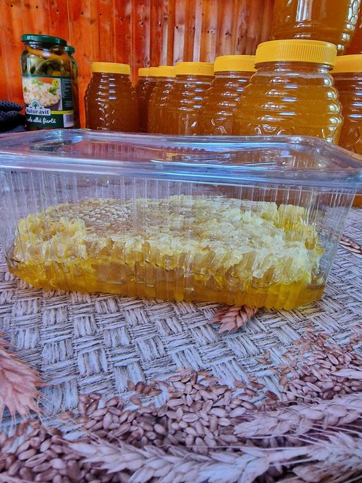 Miere polifloră naturală + Fagure