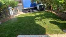 Gazon rulou natural