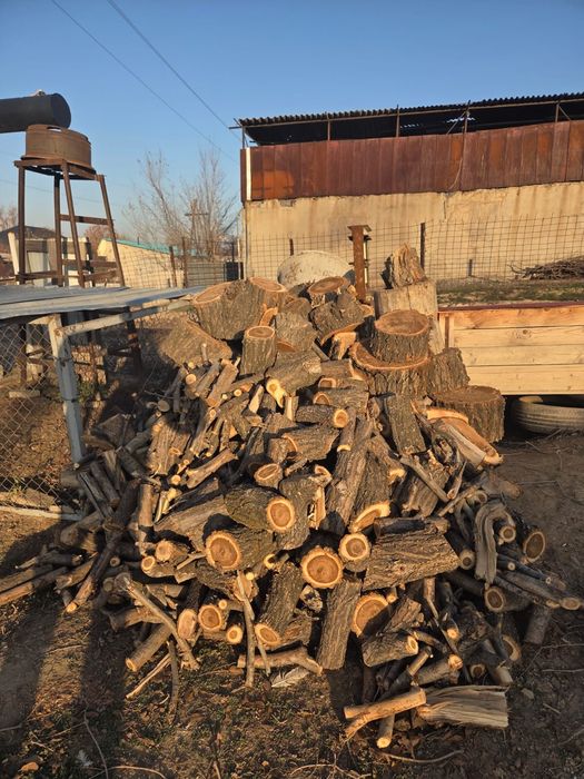 Продам Дрова срочно