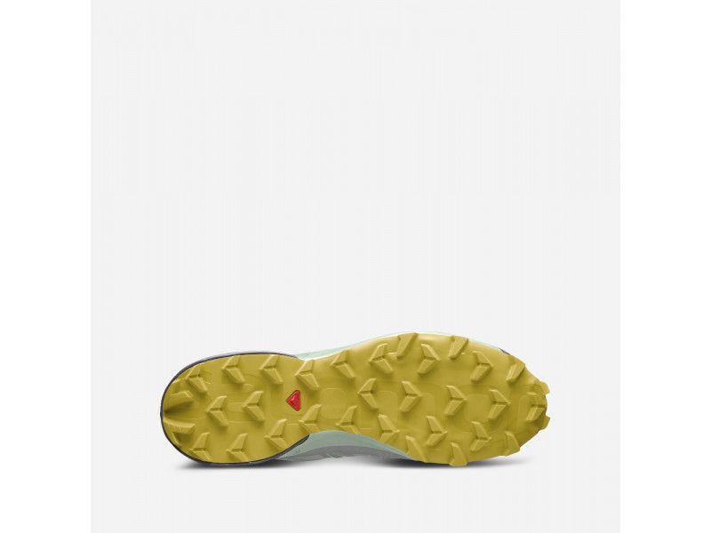 Salomon Speedcross 5 Gore tex W  размери - 37 1/3